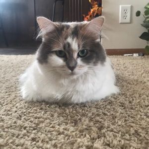 Meet your Posher, Beth